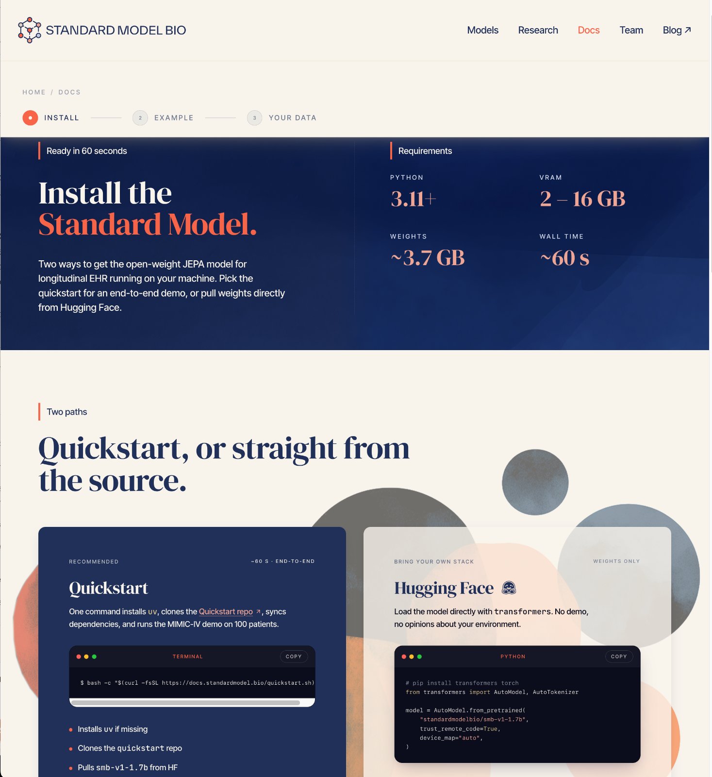 From a Wix placeholder to a living flagship.