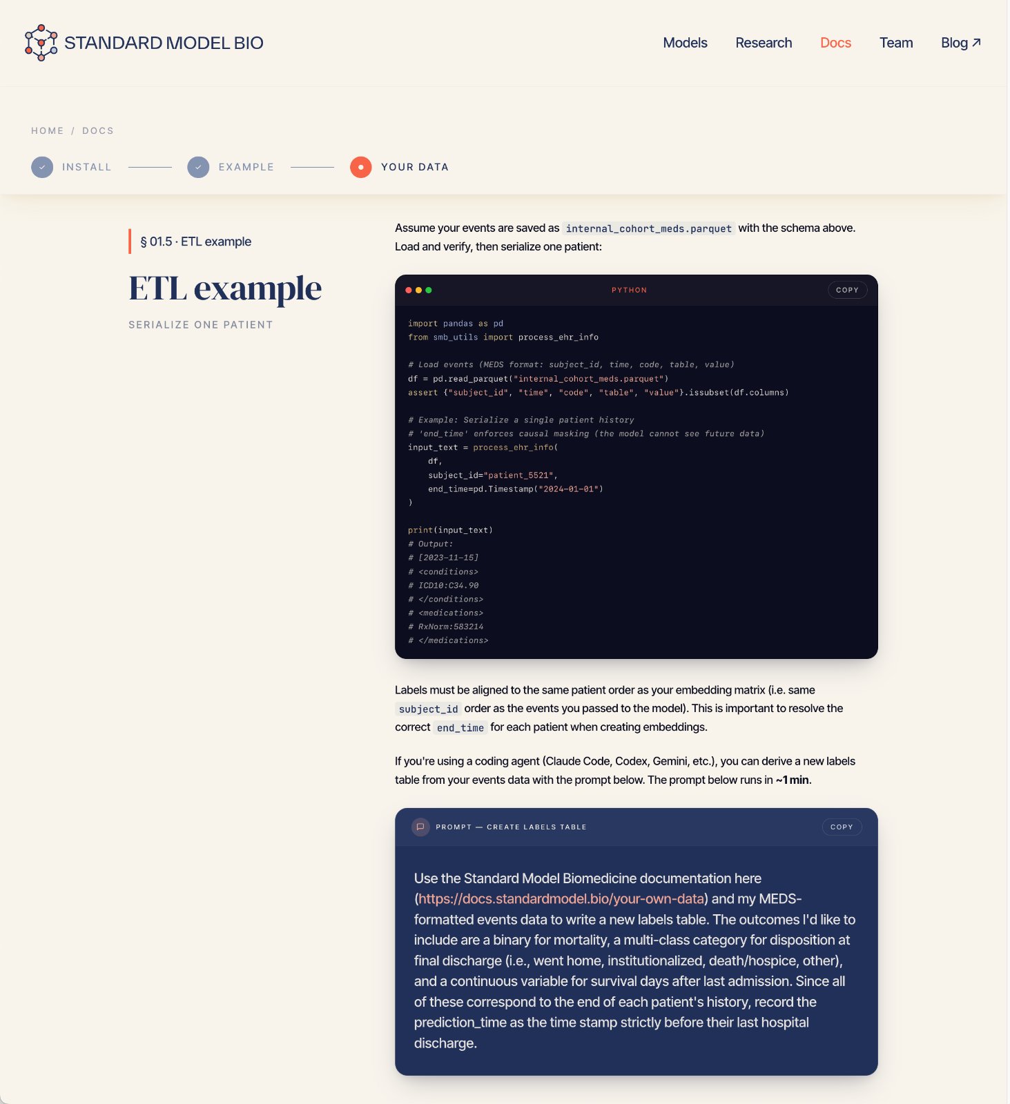 From a Wix placeholder to a living flagship.